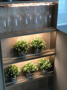 c apartment zabarella terrace