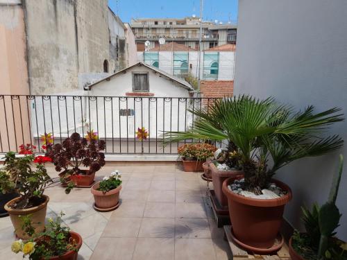 barletta