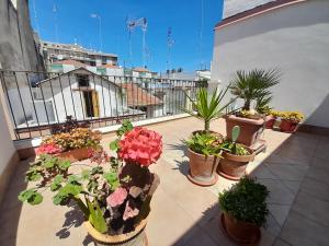 barletta