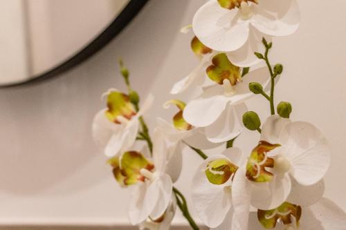 pregiata camera con bagno privato blu di prussia