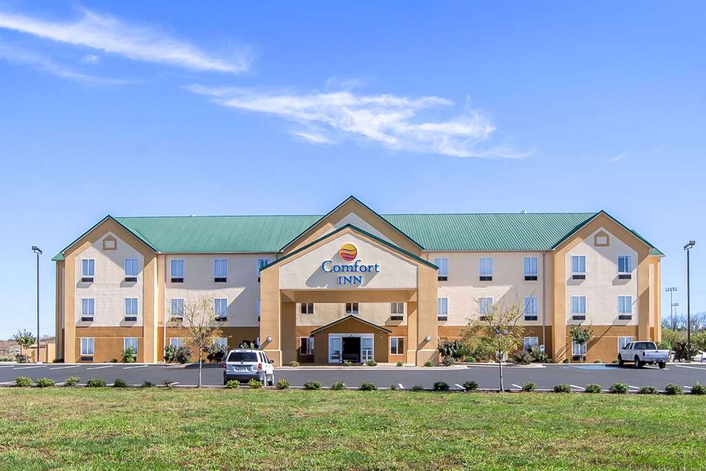 comfort inn lexington south