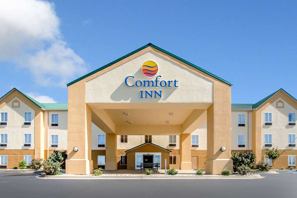 comfort inn lexington south