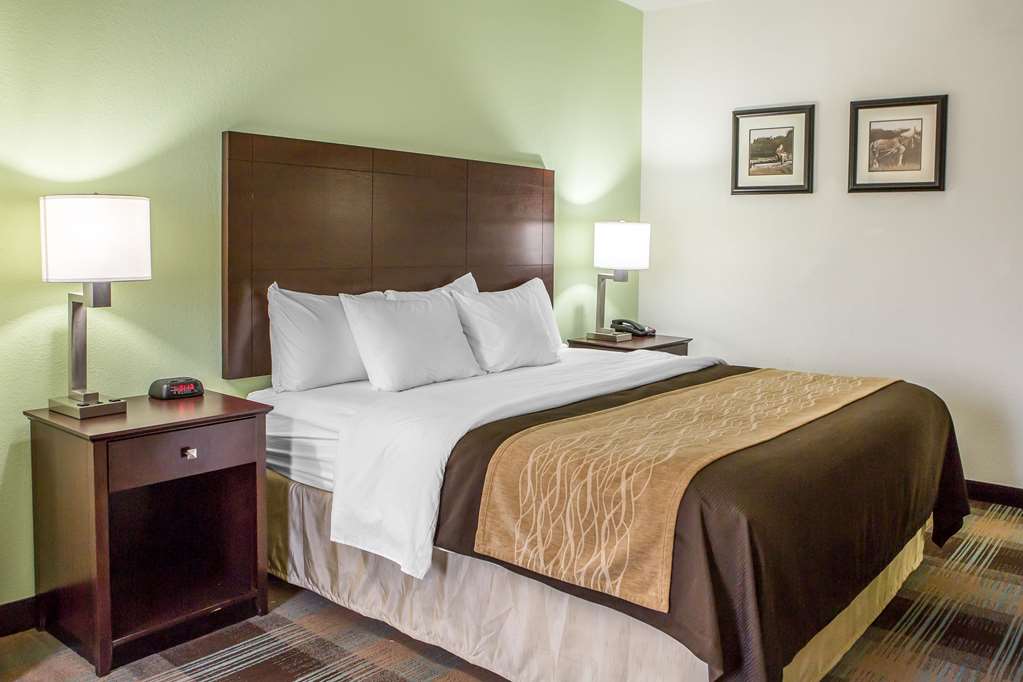 comfort inn lexington south