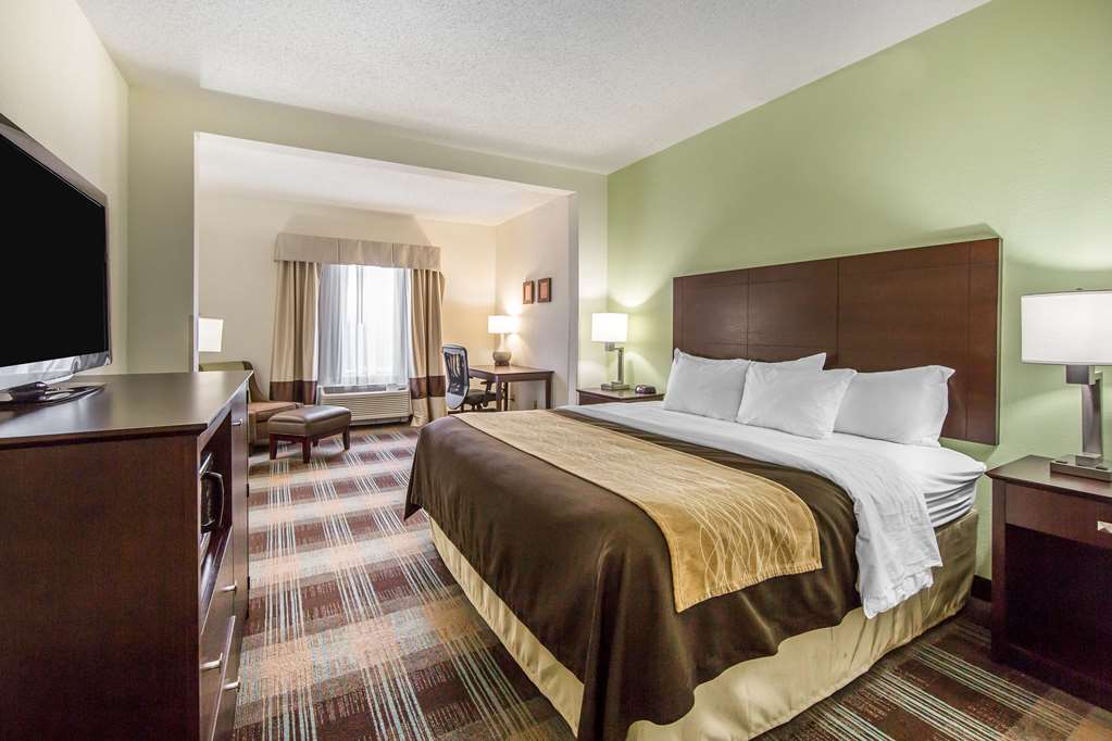 comfort inn lexington south