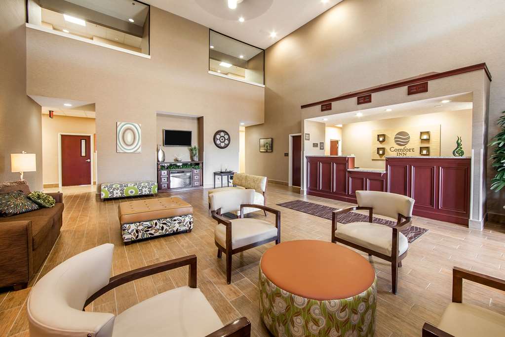 comfort inn lexington south