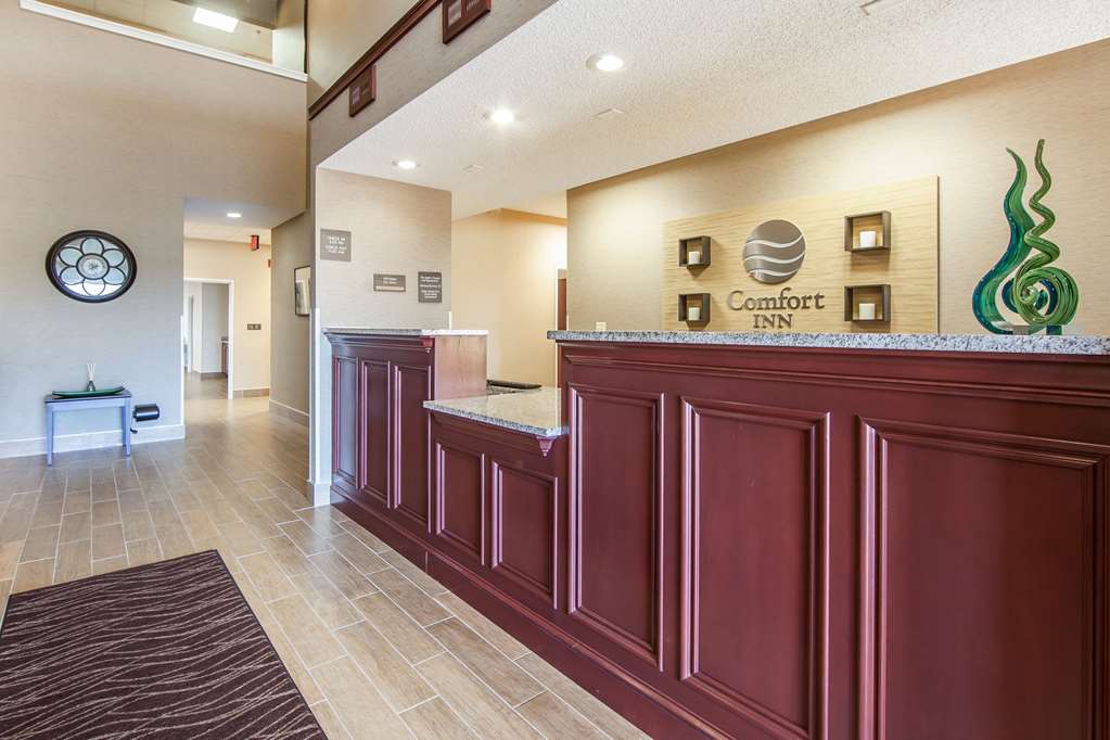 comfort inn lexington south