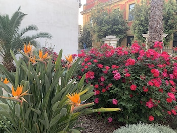 bandb don alessandro