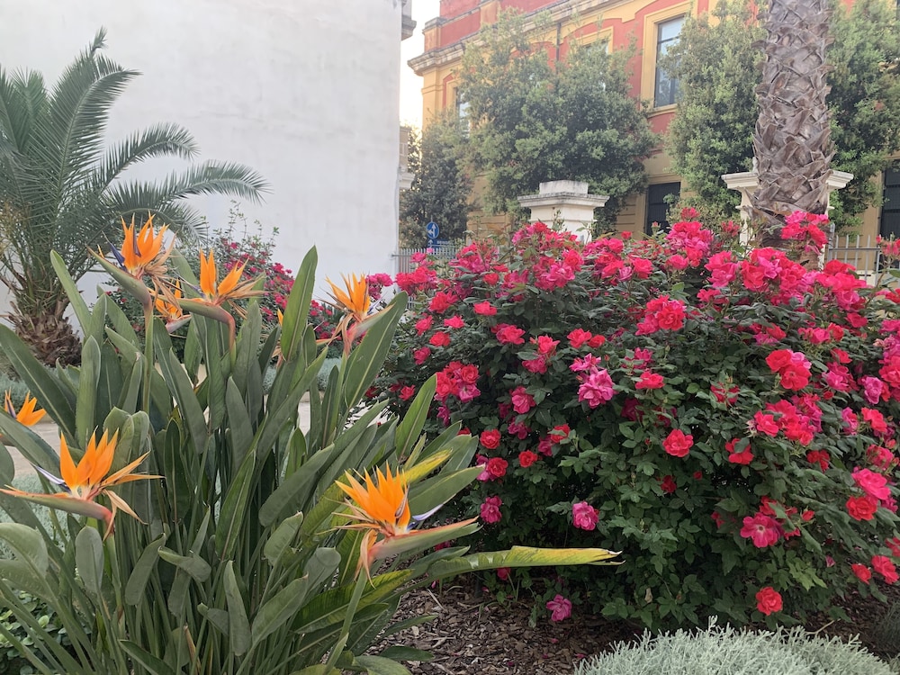 bandb don alessandro