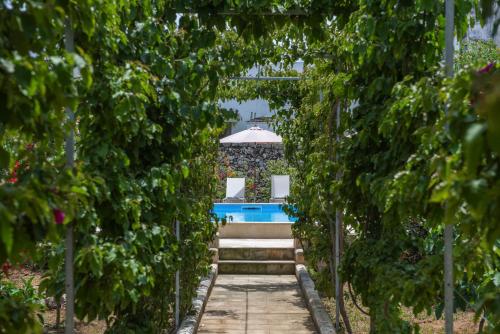 bandb don alessandro