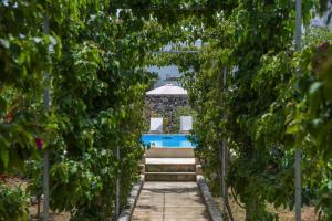 bandb don alessandro