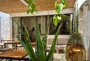 bandb don alessandro