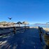 manzanillo