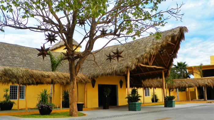 zar manzanillo