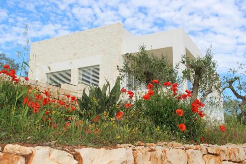 ostuni