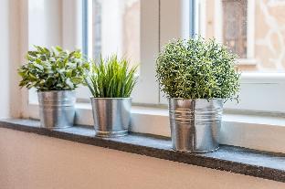 amazing studio in the city center wifi