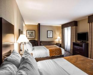 comfort suites whitsett greensboro east