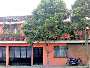 habitaciones eco terrazas