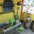 habitaciones eco terrazas