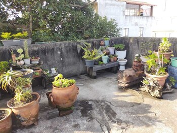 habitaciones eco terrazas