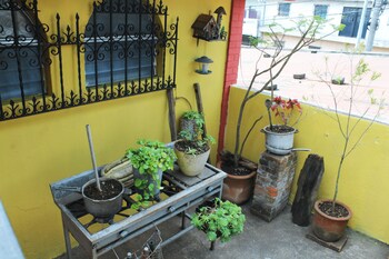 habitaciones eco terrazas