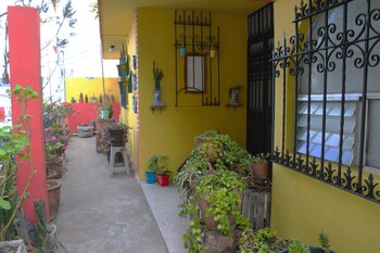 habitaciones eco terrazas