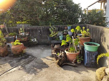 habitaciones eco terrazas