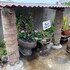 habitaciones eco terrazas