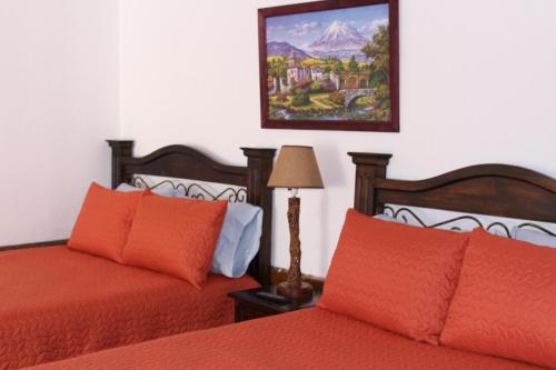 habitaciones eco terrazas