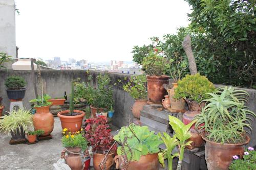 habitaciones eco terrazas