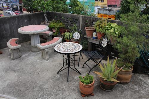 habitaciones eco terrazas