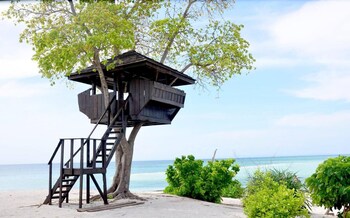 palompon