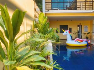 molly resort