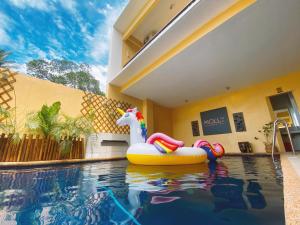 molly resort