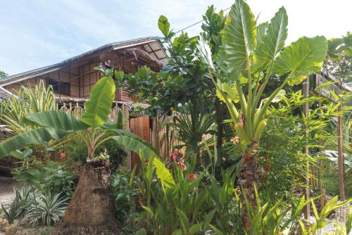 soffta surf ranch hostel