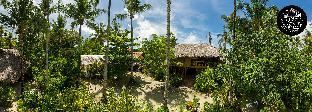 soffta surf ranch hostel