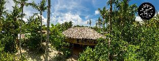 soffta surf ranch hostel