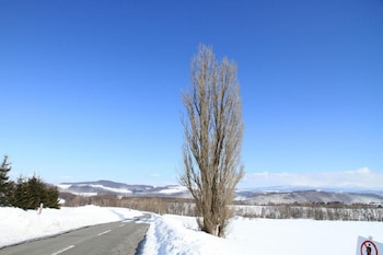 biei