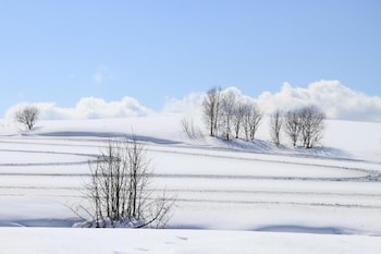 stay in biei