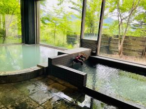lake side nikko hotel