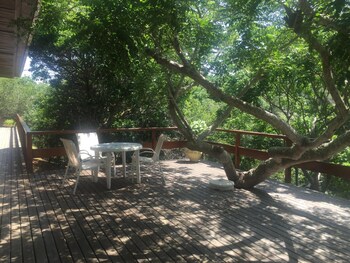 barlavento suites