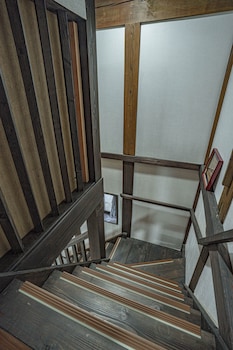 one night one view one destiny