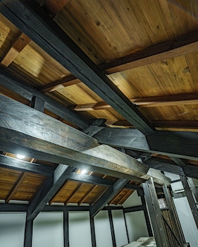 one night one view one destiny