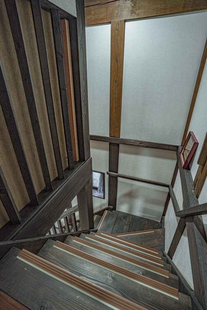 one night one view one destiny