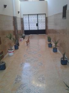 al dahar apartments hurghada