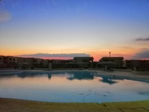 regina resort el sokhna
