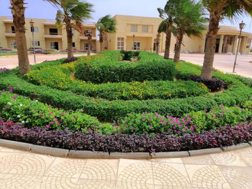 regina resort el sokhna