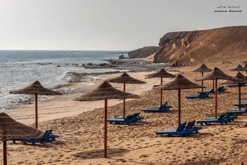 regina resort el sokhna