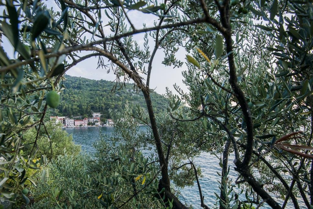 apartments tiho and jelena