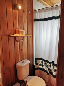 cabanas and hospedaje choshuenco