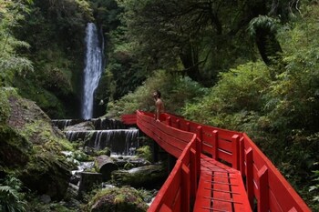 cabanas and hospedaje choshuenco